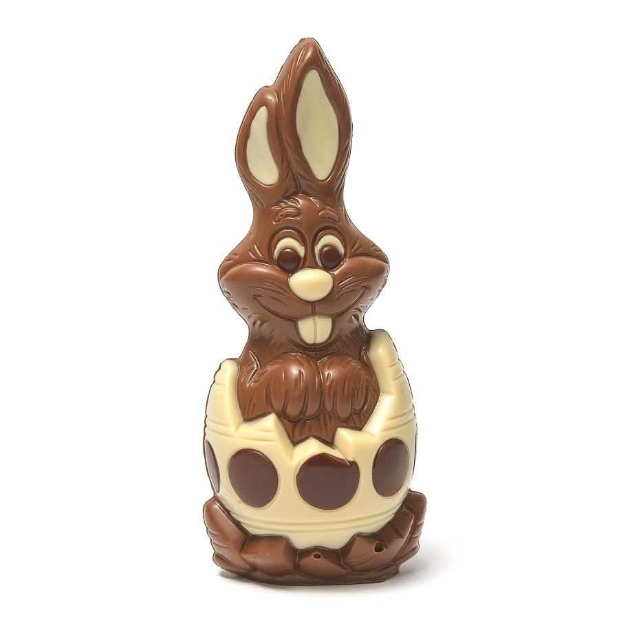 Bunny in an egg (milk) 180 Grs - The Belgian Chocolate Makers