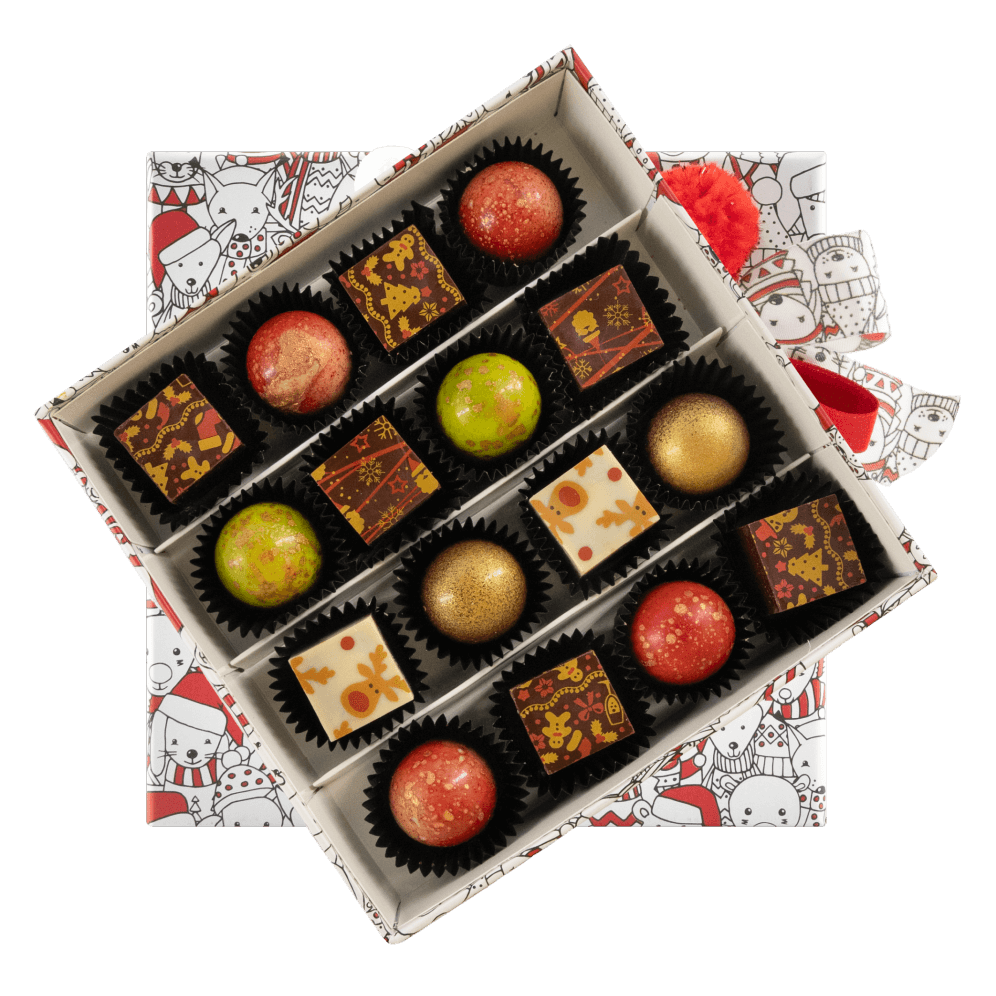 Boîte de Noël 16 pralines 240g