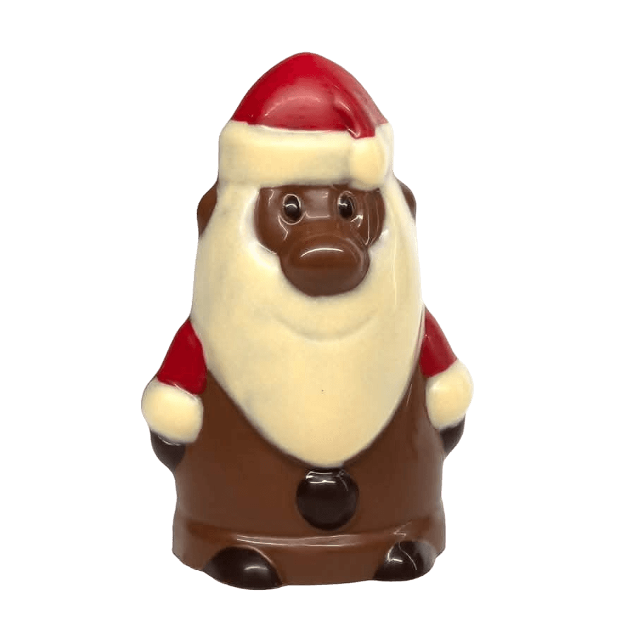Cioccolato al latte Babbo Natale 200g