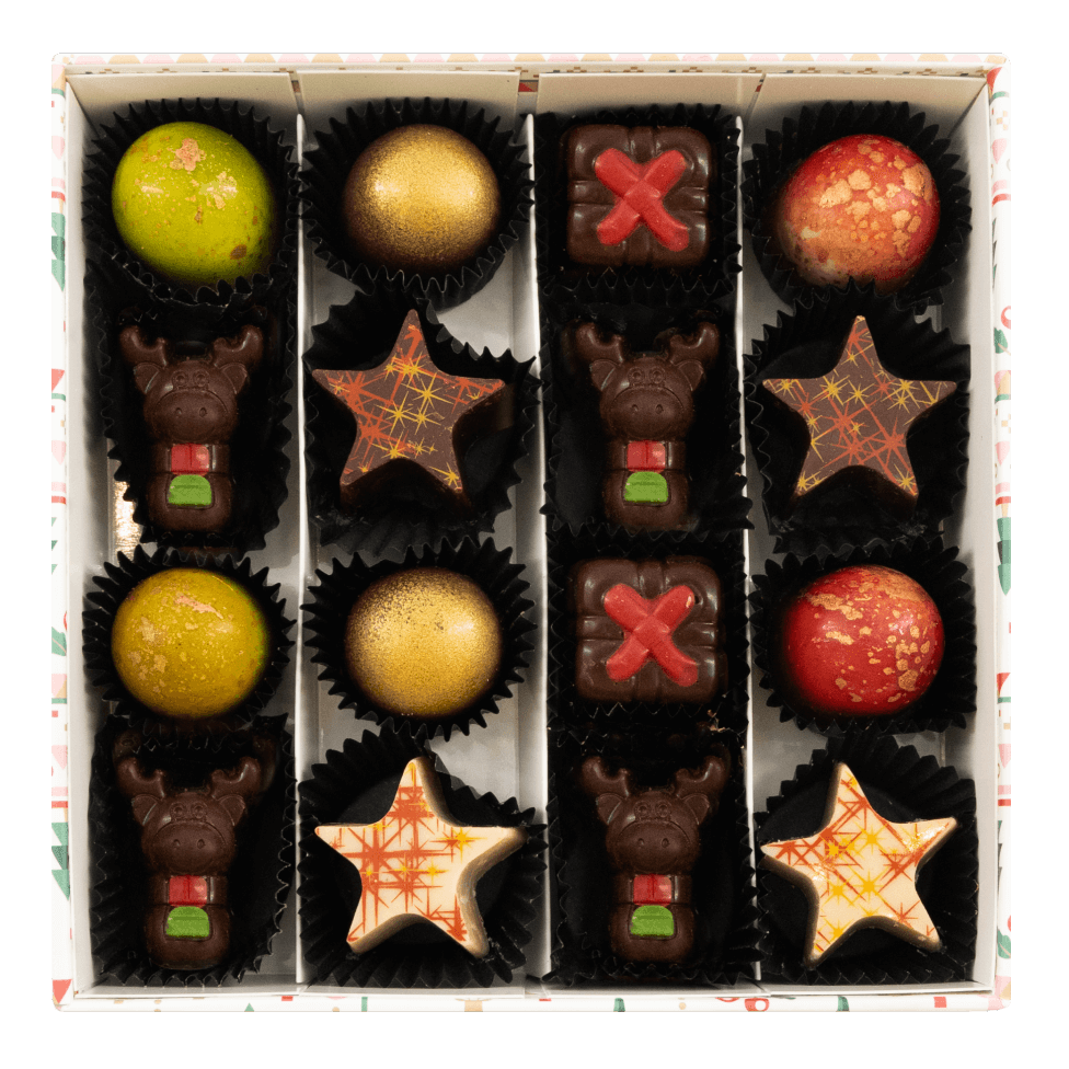 Natale nel paese delle meraviglie 16 praline 240g