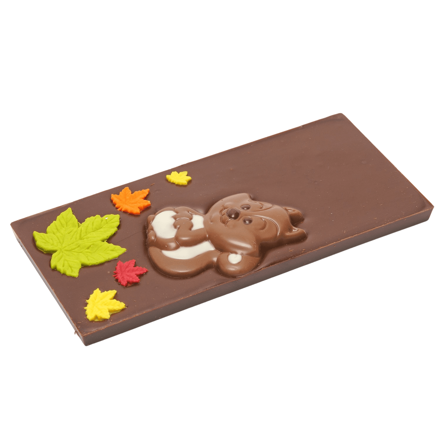 Dark chocolate squirrel bar 125g