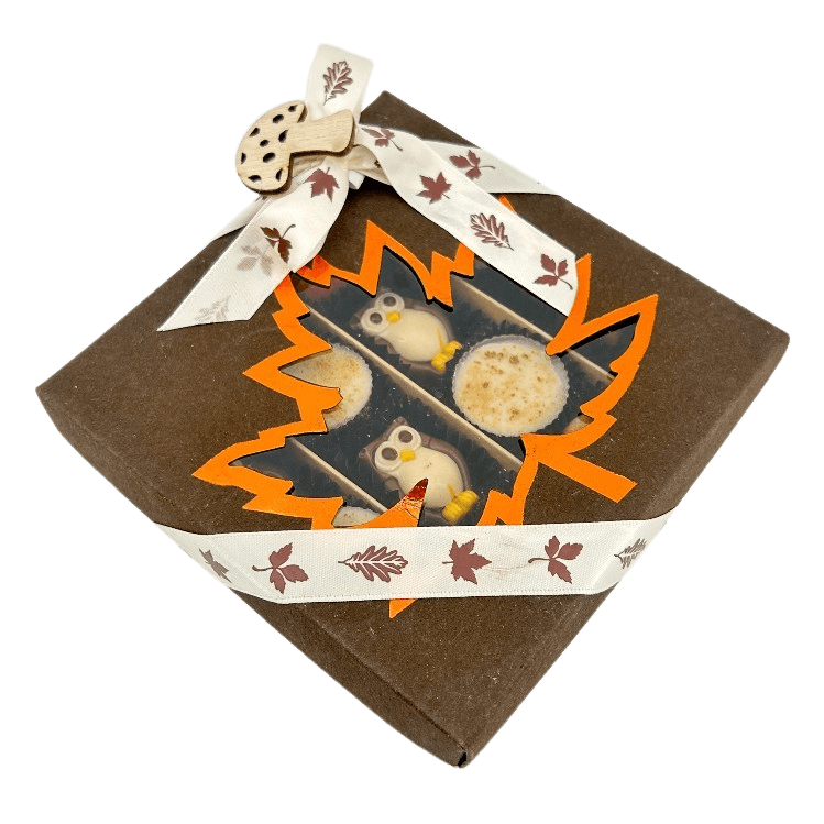 Mix of autumn pralines in a dark brown gift box