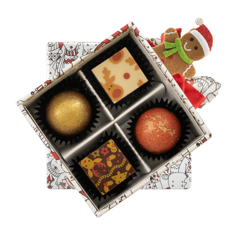 Boîte de Noël 4 pralines 50g