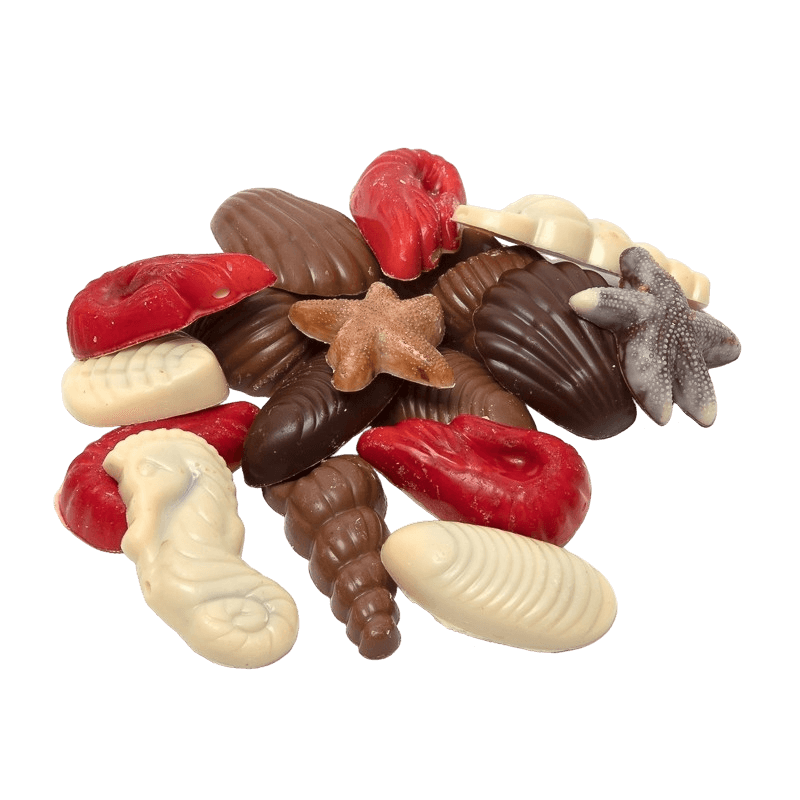 Conchiglie di cioccolato 150 g